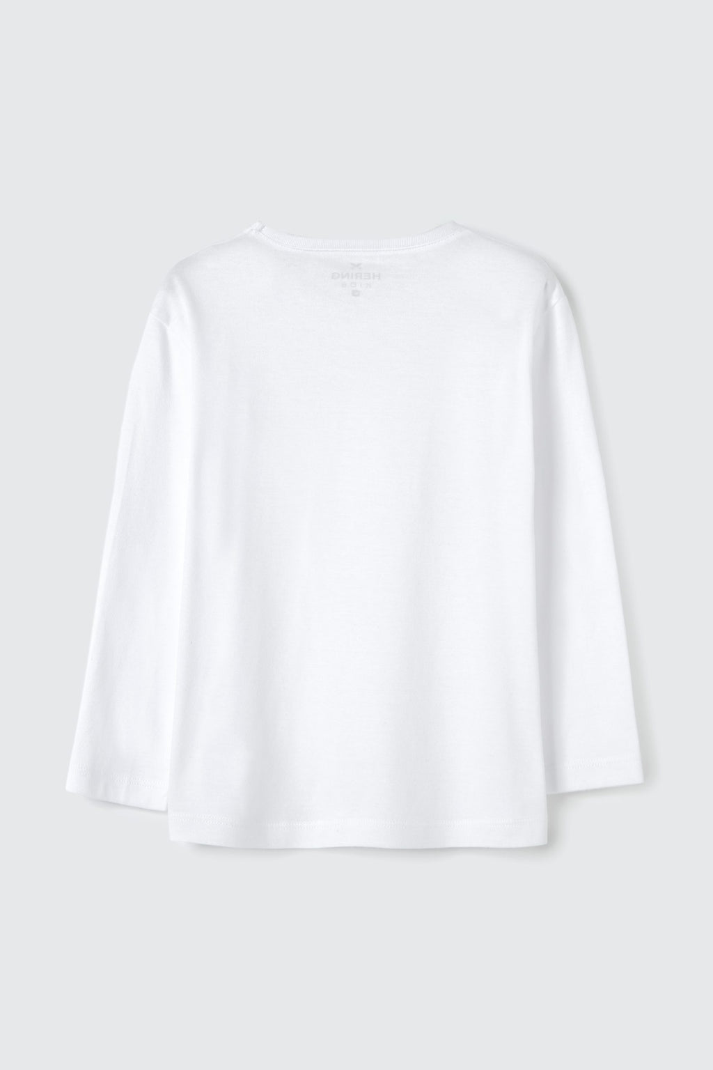 Camiseta Manga Longa Branca Básica Hering - Masculina