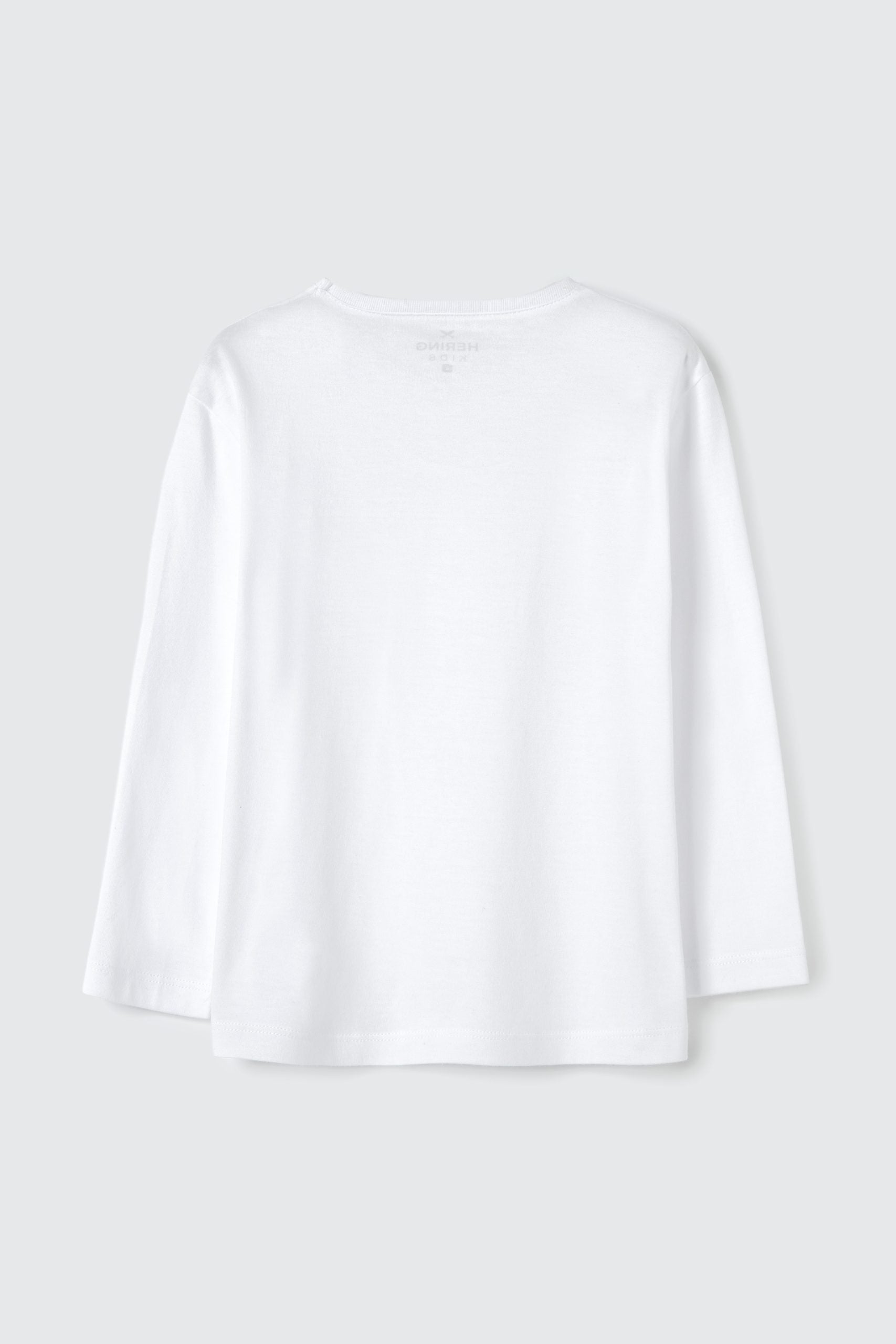 Camiseta Manga Longa Branca Básica Hering - Masculina